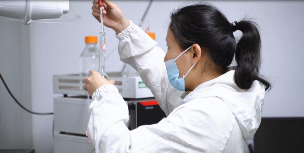 Innoveren van kruidenproductie