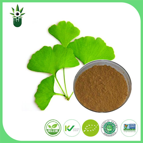Welke symptomen kunnen Ginkgo -biloba -blad -extract worden gebruikt om te verlichten?