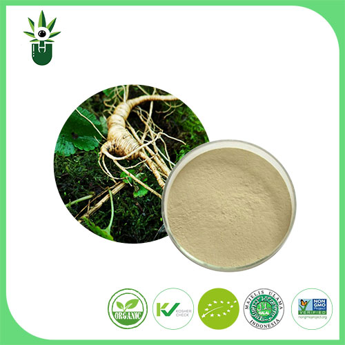 Ginseng-extract