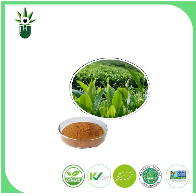 Natuurlijk groene thee -extract 98% l