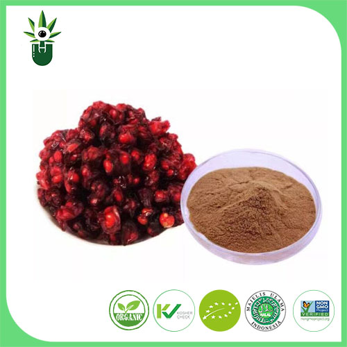 Schisandra Chinensis-extract